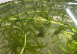 05.28. 残念。また明日！