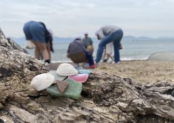 林間学舎13 「浜の宝探しパート2」