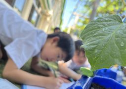 05.14. 学校のまわりにあるもの、いくつ知ってる？