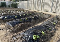 05.17. パワーアップ １４８ガーデン！