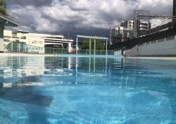 06.03. お茶を淹れる