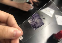 06.04. いつか誰かが科学者に