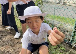 06.26　まめに、、コツコツ、、