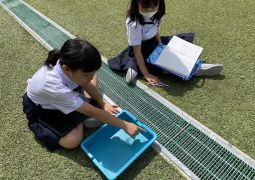 6/3 ビー玉で確認！？