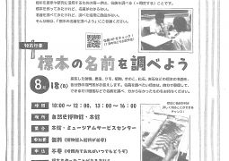 （お知らせ）8/18標本の名前を調べよう