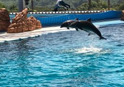 2024.07.04.臨海学舎18