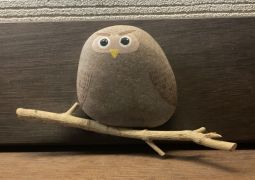 2024.07.03.臨海学舎13