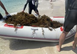 2024.07.03.臨海学舎10