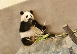 2024.07.04.臨海学舎18