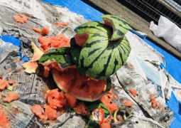 07.18.🏖Summer Festival🏖