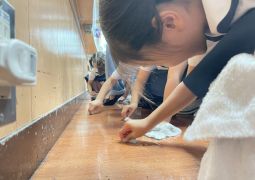 ピカピカ大掃除