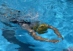 07.18 クロールにチョウセン