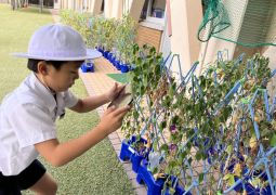 今日の実習生授業は、生活科