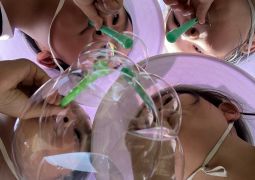 屋根まで飛んだ？