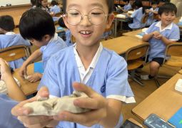 10.24.コロコロ、コーネコネ