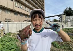 大きいサツマイモ⁈