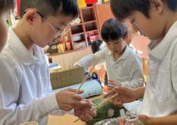 11.13. １＋１＋１＝３？