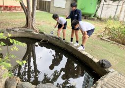 11.05. オープンスクールに向けて