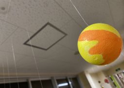 １１/１４　実は、、、