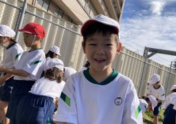 タネを植えました。