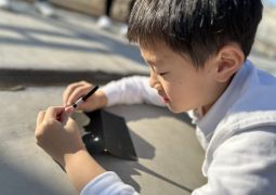 12.03 太陽サン・サン