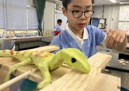 12.09. アート展が見えてきた！