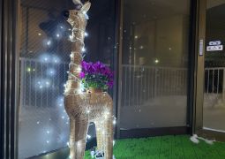 2025.02.20.スキー教室26