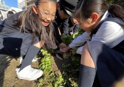 02.20. ひっこぬけーっ！