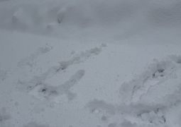 2025.02.19.スキー教室04