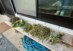 2025.04.16.STEAM Trip.33