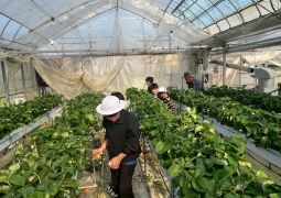 2025.04.16.STEAM Trip.18