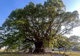 2025.04.16.STEAM Trip.23