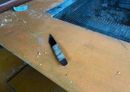 2025.04.16.STEAM Trip.28