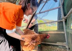 2025.04.16.STEAM Trip.12