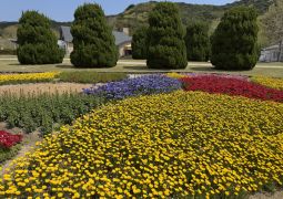 2025.04.16.STEAM Trip.04