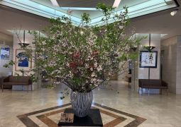 2025.04.18.STEAM Trip.56