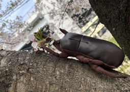 04.09　ようこそ！ふてんしょうへ！