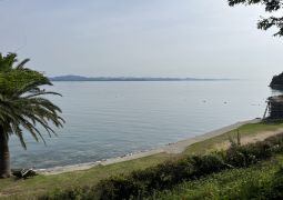 05.27. ふり返ろう、林間。