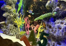 2025.05.07.修学旅行11