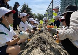2025.05.14　大きな実にな〜れ