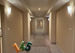 2025.05.08.修学旅行31