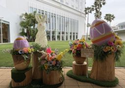 2025.05.09.修学旅行39