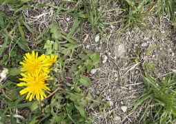 2025.05.15.林間学舎23