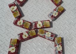 2025.05.15.林間学舎24