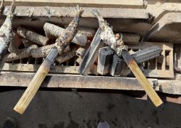 2025.05.15.林間学舎28