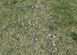 2025.05.16.林間学舎44