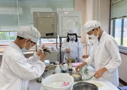 5年家庭科について