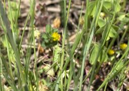 2025.05.22.林間学舎21