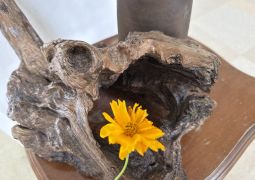 2025.05.23.林間学舎47