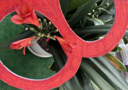 2025.05.16.林間学舎41